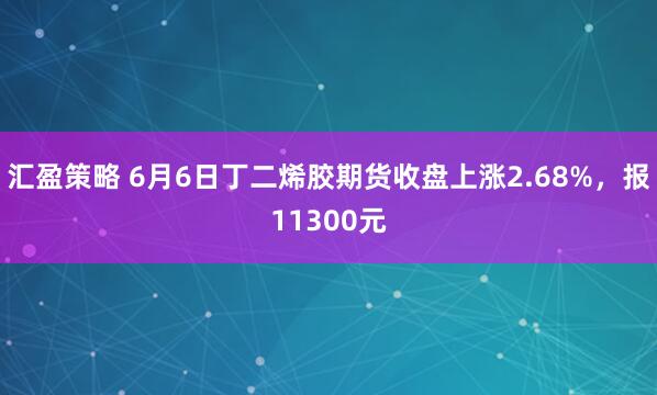 汇盈策略 6月6日丁二烯胶期货收盘上涨2.68%，报11300元
