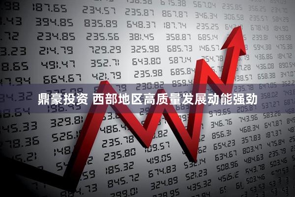 鼎豪投资 西部地区高质量发展动能强劲