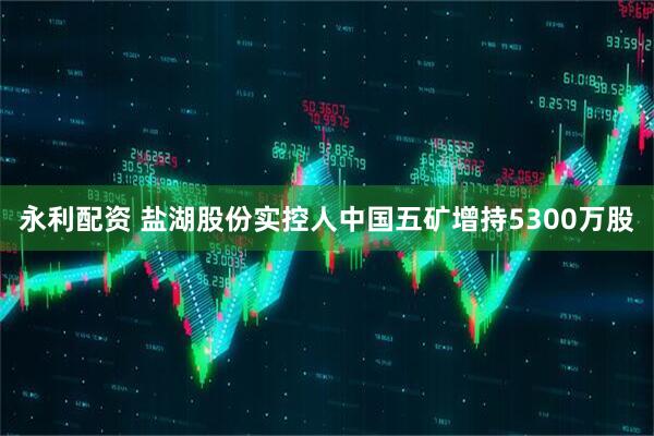永利配资 盐湖股份实控人中国五矿增持5300万股