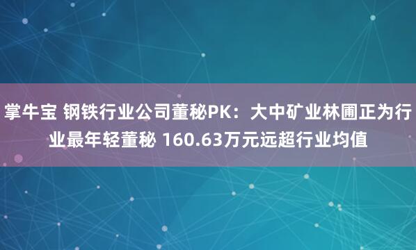 掌牛宝 钢铁行业公司董秘PK：大中矿业林圃正为行业最年轻董秘 160.63万元远超行业均值