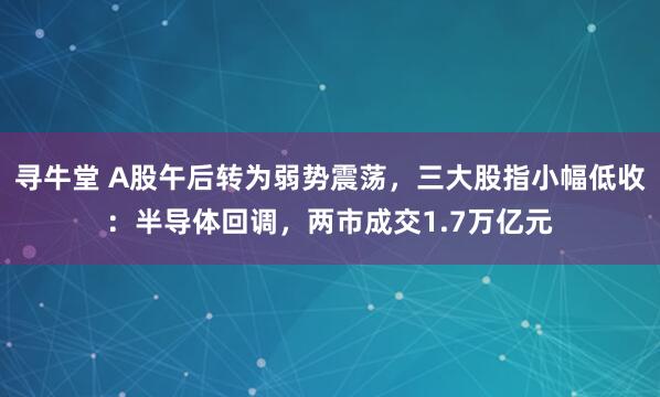 寻牛堂 A股午后转为弱势震荡，三大股指小幅低收：半导体回调，两市成交1.7万亿元