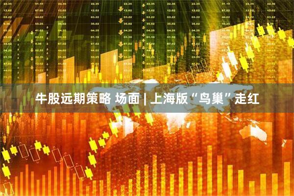牛股远期策略 场面 | 上海版“鸟巢”走红