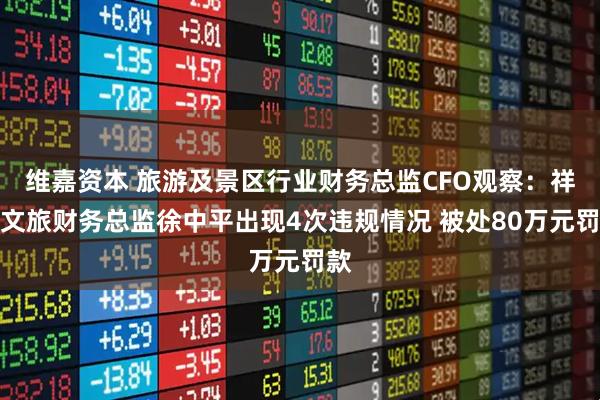 维嘉资本 旅游及景区行业财务总监CFO观察：祥源文旅财务总监徐中平出现4次违规情况 被处80万元罚款