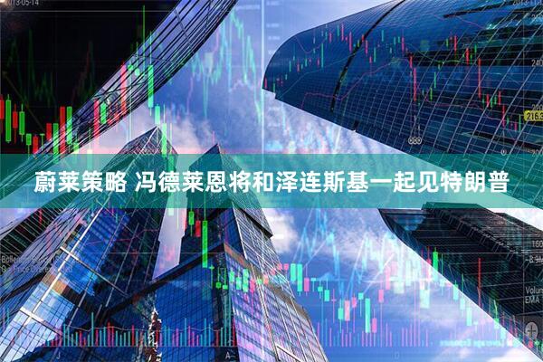 蔚莱策略 冯德莱恩将和泽连斯基一起见特朗普
