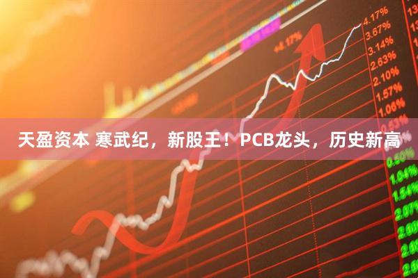 天盈资本 寒武纪，新股王！PCB龙头，历史新高