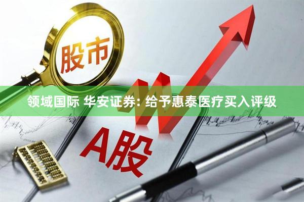 领域国际 华安证券: 给予惠泰医疗买入评级