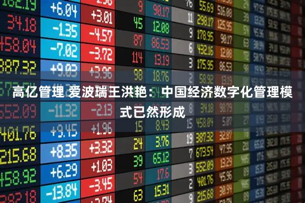 高亿管理 爱波瑞王洪艳：中国经济数字化管理模式已然形成